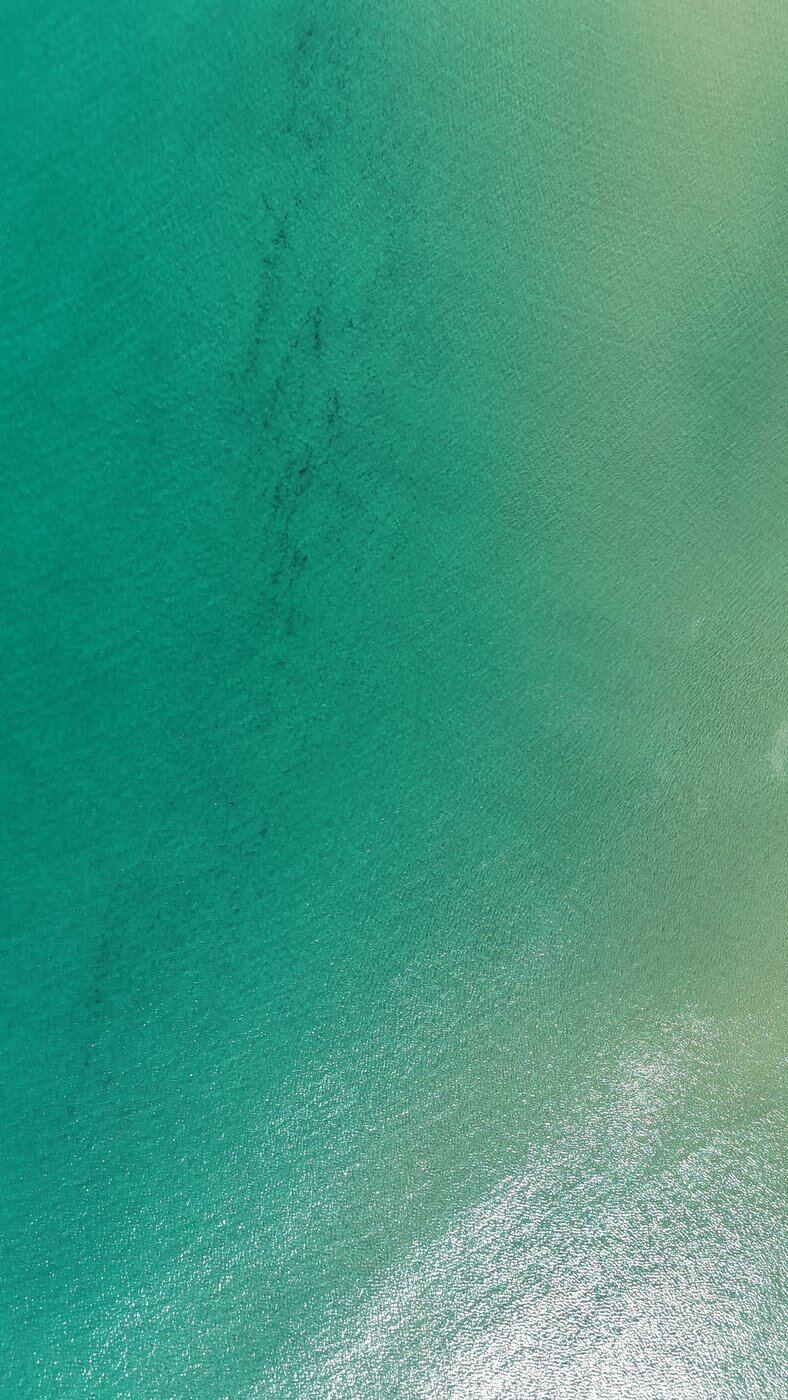Top-down view of clear turquoise water, Cefalu, Sicily