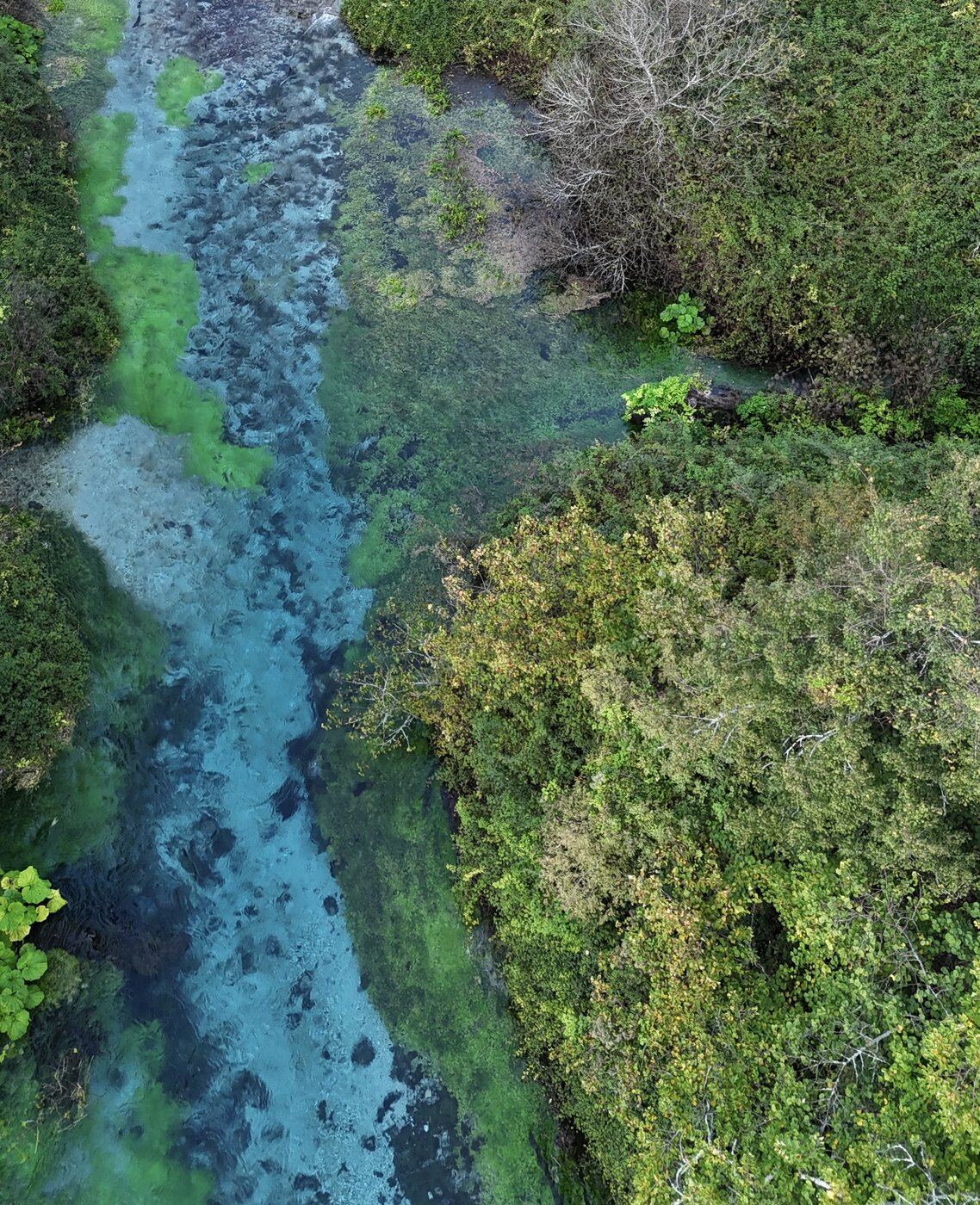 The turquoise water of the Blue Eye spring among green foliage, Albania
