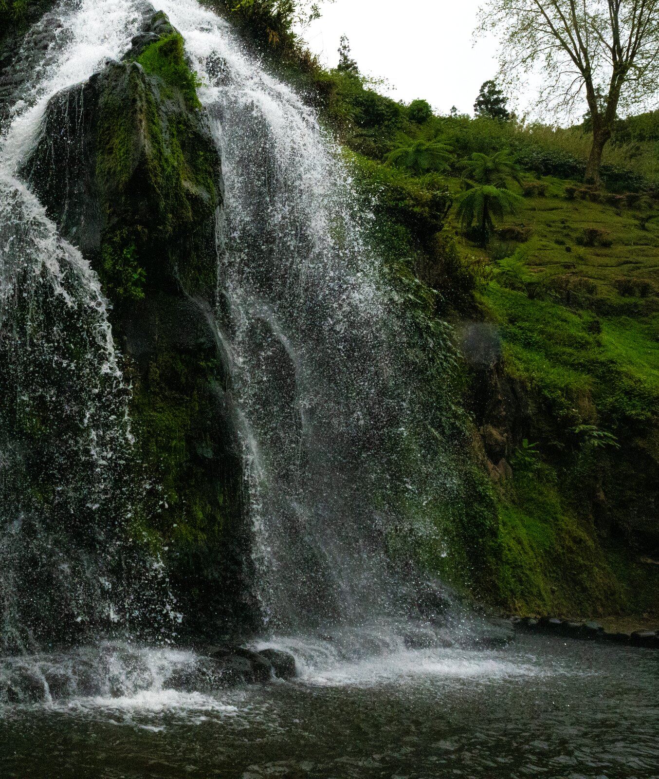 Photograph of a mossy waterfall falling into a green pool